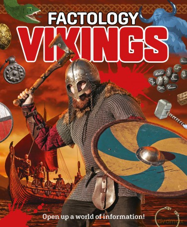 Factology: Vikings: Open Up a World of Information! [KSIĄŻKA]