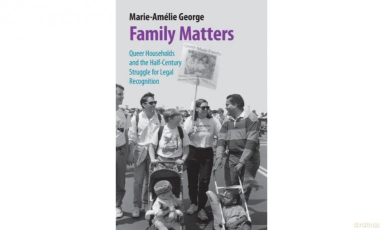 Family Matters: Queer Households and the Half-Century Struggle for Legal Recognition (Studies in Legal History) - Marie-Am Lie George [KSIĄŻKA]