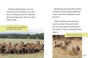 Female Spotted Hyenas: Commanders of the Clan (Queens of the Animal World) - Jaclyn Jaycox [KSIĄŻKA]