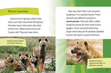 Female Spotted Hyenas: Commanders of the Clan (Queens of the Animal World) - Jaclyn Jaycox [KSIĄŻKA]