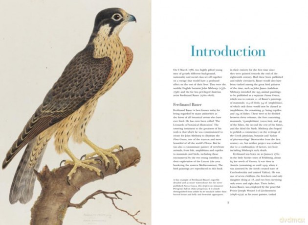 Ferdinand Bauer's Remarkable Birds - Jonathan Elphick [KSIĄŻKA]