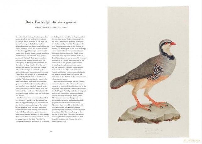 Ferdinand Bauer's Remarkable Birds - Jonathan Elphick [KSIĄŻKA]