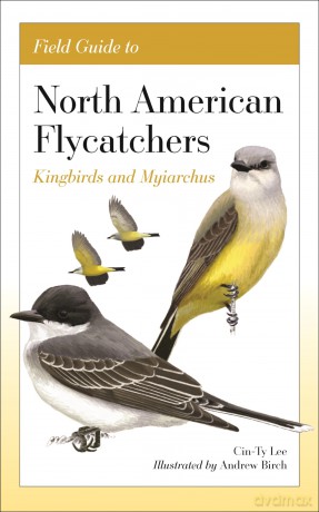 Field Guide to North American Flycatchers: Kingbirds and Myiarchus - Cin-Ty Lee [KSIĄŻKA]