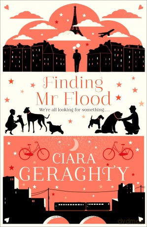 Finding Mr Flood - Geraghty Ciara [KSIĄŻKA]