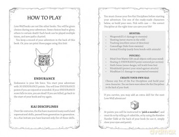 Fire on the Water: Lone Wolf Junior Edition 2: Lone Wolf #2 - Joe Dever [KSIĄŻKA]