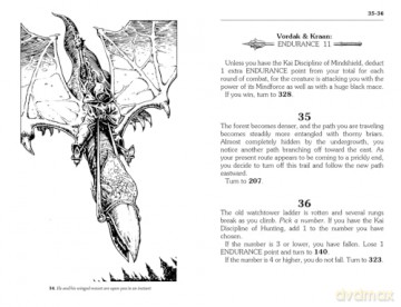 Flight from the Dark: Lone Wolf Junior Edition 1 - Joe Dever [KSIĄŻKA]