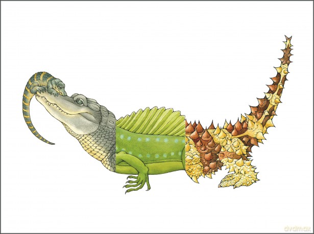 Flip-a-gator: Make Your Own Wacky Reptile!: 6 (Mix-and-Match Board Books) - Sara Ball [KSIĄŻKA]