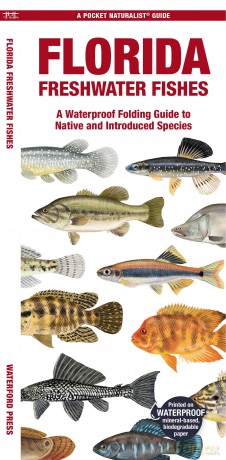 Florida Freshwater Fishes: A Waterproof Folding Guide to Native and Introduced Species (Pocket Naturalist Guide) - Waterford Press [KSIĄŻKA]