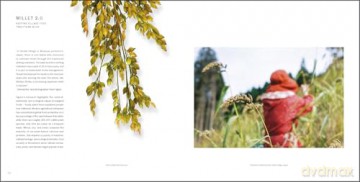 Food Planet Future: The Art of Turning Food and Climate Perils Into Possibilities - Robert Dash [KSIĄŻKA]