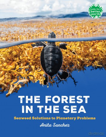 Forest in the Sea, The: Seaweed Solutions to Planetary Problems (Books for a Better Earth) - Anita Sanchez [KSIĄŻKA]