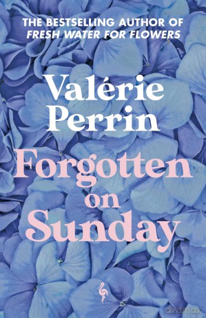 Forgotten on Sunday: From the million copy bestselling author of Fresh Water for Flowers - Valerie Perrin [KSIĄŻKA]