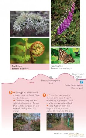 Fort William, Glen Coe and Lochaber Short Walks Made Easy | Ordnance Survey | 10 Walks For Everybody | Guidebook | Scotland | Walks | Adventure (OS Short Walks Made Easy) - Ordnance Survey