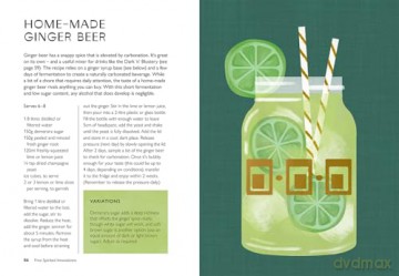 Free Spirited: 60 no/lo cocktail recipes for the sober curious - Colleen Graham [KSIĄŻKA]
