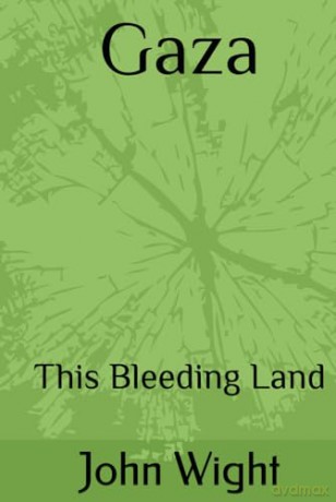 Gaza: This Bleeding Land - John Wight [KSIĄŻKA]