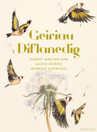 Geiriau Diflanedig - Robert Macfarlane [KSIĄŻKA]