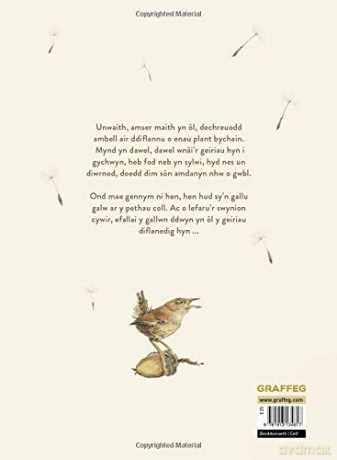 Geiriau Diflanedig - Robert Macfarlane [KSIĄŻKA]