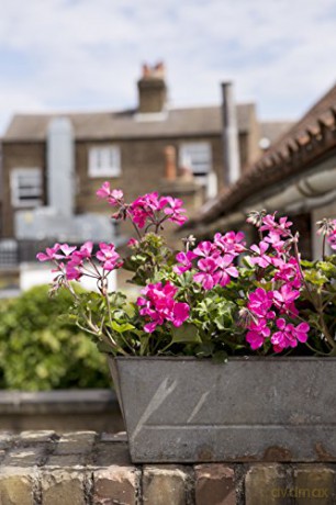 Get Plants: How to Bring Green into Your Life - Katherine Price [KSIĄŻKA]
