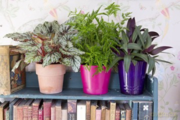 Get Plants: How to Bring Green into Your Life - Katherine Price [KSIĄŻKA]