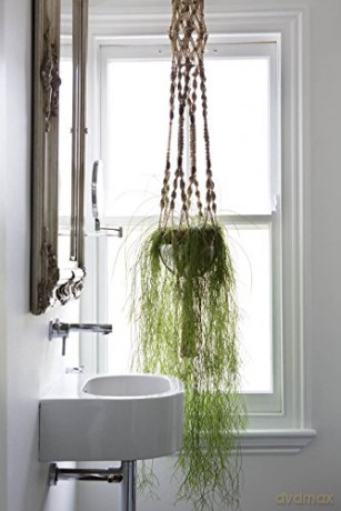 Get Plants: How to Bring Green into Your Life - Katherine Price [KSIĄŻKA]