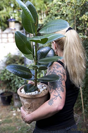 Get Plants: How to Bring Green into Your Life - Katherine Price [KSIĄŻKA]