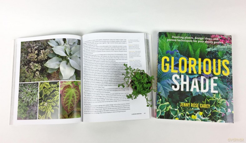 Glorious Shade: Dazzling Plants, Design Ideas, and Proven Techniques for Your Shady Garden - Jenny Carey [KSIĄŻKA]