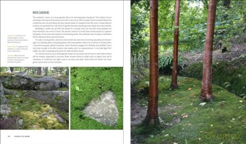 Glorious Shade: Dazzling Plants, Design Ideas, and Proven Techniques for Your Shady Garden - Jenny Carey [KSIĄŻKA]