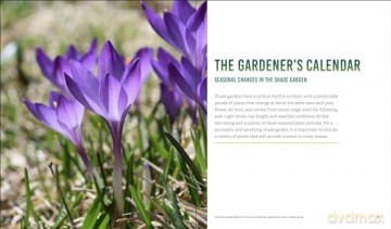 Glorious Shade: Dazzling Plants, Design Ideas, and Proven Techniques for Your Shady Garden - Jenny Carey [KSIĄŻKA]