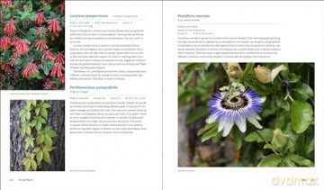 Glorious Shade: Dazzling Plants, Design Ideas, and Proven Techniques for Your Shady Garden - Jenny Carey [KSIĄŻKA]