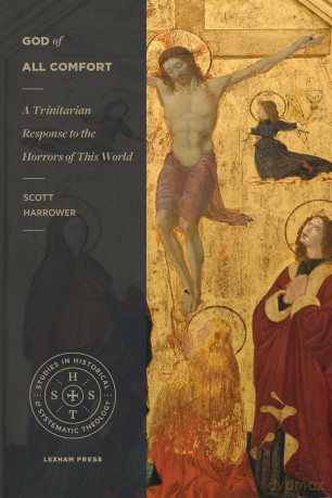 God of All Comfort: A Trinitarian Response to the Horrors of This World (Studies in Historical and Systematic Theology) [KSIĄŻKA]