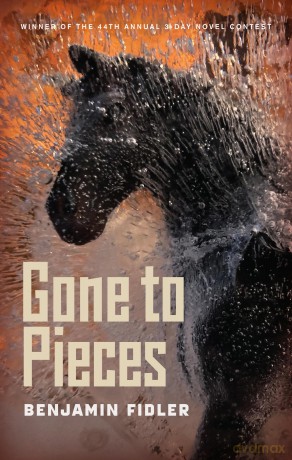 Gone to Pieces - Benjamin Fidler [KSIĄŻKA]