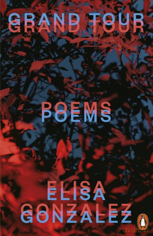 Grand Tour: Poems - Elisa Gonzalez [KSIĄŻKA]