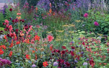 Grounded in the Garden: An artist's guide to creating a beautiful garden in harmony with nature - Tj Maher [KSIĄŻKA]