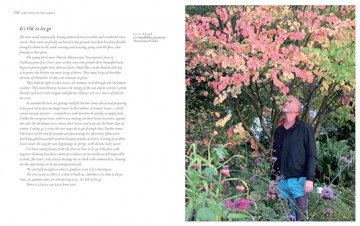 Grounded in the Garden: An artist's guide to creating a beautiful garden in harmony with nature - Tj Maher [KSIĄŻKA]