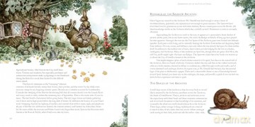 Gwelf: Into the Hinterlands - Larry Macdougall [KSIĄŻKA]