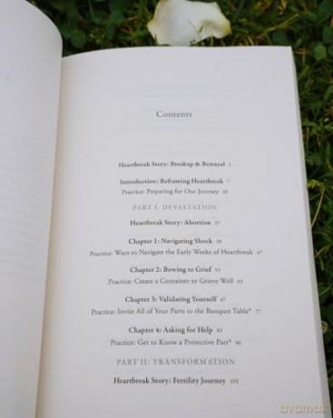 Handbook for the Heartbroken: A Woman's Path from Devastation to Rebirth - Avant, Sara Stover [KSIĄŻKA]
