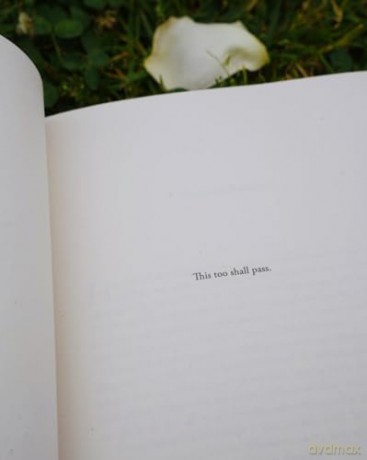 Handbook for the Heartbroken: A Woman's Path from Devastation to Rebirth - Avant, Sara Stover [KSIĄŻKA]