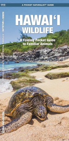 Hawai'i Wildlife: A Folding Pocket Guide to Familiar Animals (Pocket Naturalist Guide) - Waterford Press [KSIĄŻKA]