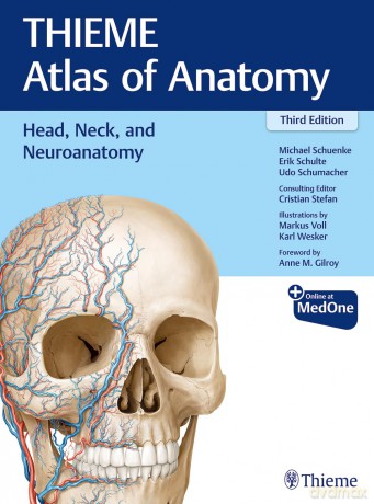 Head, Neck, and Neuroanatomy (THIEME Atlas of Anatomy): 3 - Schuenke [KSIĄŻKA]