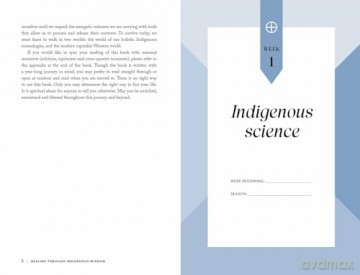 Healing through Indigenous Wisdom: A Year Around the Medicine Wheel, a 52-week Guide - Valerie Ringland [KSIĄŻKA]