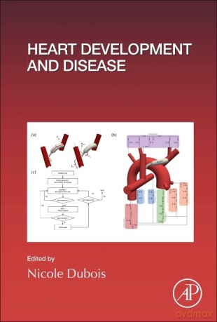 Heart Development and Disease (Volume 156) (Current Topics in Developmental Biology, Volume 156) - Nicole Dubois [KSIĄŻKA]