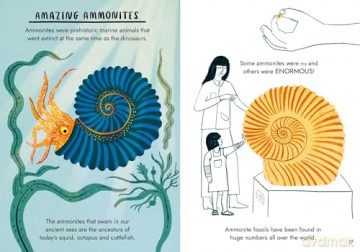Hello Fossils and Shells (Little Guides to Nature) - Nina Chakrabarti [KSIĄŻKA]