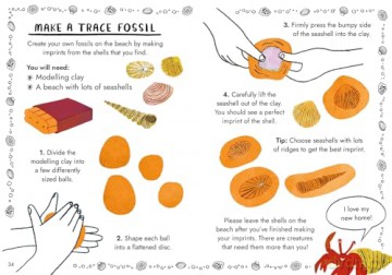 Hello Fossils and Shells (Little Guides to Nature) - Nina Chakrabarti [KSIĄŻKA]