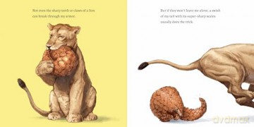 Hello, I'm a Pangolin: 2 (Meet the Wild Things) - Hayley Rocco [KSIĄŻKA]