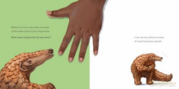 Hello, I'm a Pangolin: 2 (Meet the Wild Things) - Hayley Rocco [KSIĄŻKA]