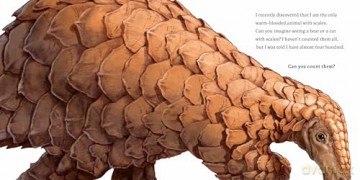 Hello, I'm a Pangolin: 2 (Meet the Wild Things) - Hayley Rocco [KSIĄŻKA]
