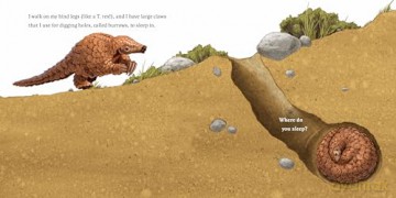 Hello, I'm a Pangolin: 2 (Meet the Wild Things) - Hayley Rocco [KSIĄŻKA]