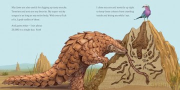 Hello, I'm a Pangolin: 2 (Meet the Wild Things) - Hayley Rocco [KSIĄŻKA]