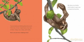 Hello, I'm a Sloth: 1 (Meet the Wild Things) - Hayley Rocco [KSIĄŻKA]
