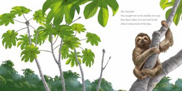 Hello, I'm a Sloth: 1 (Meet the Wild Things) - Hayley Rocco [KSIĄŻKA]