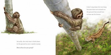 Hello, I'm a Sloth: 1 (Meet the Wild Things) - Hayley Rocco [KSIĄŻKA]